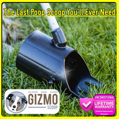 The Gizmo Scoop